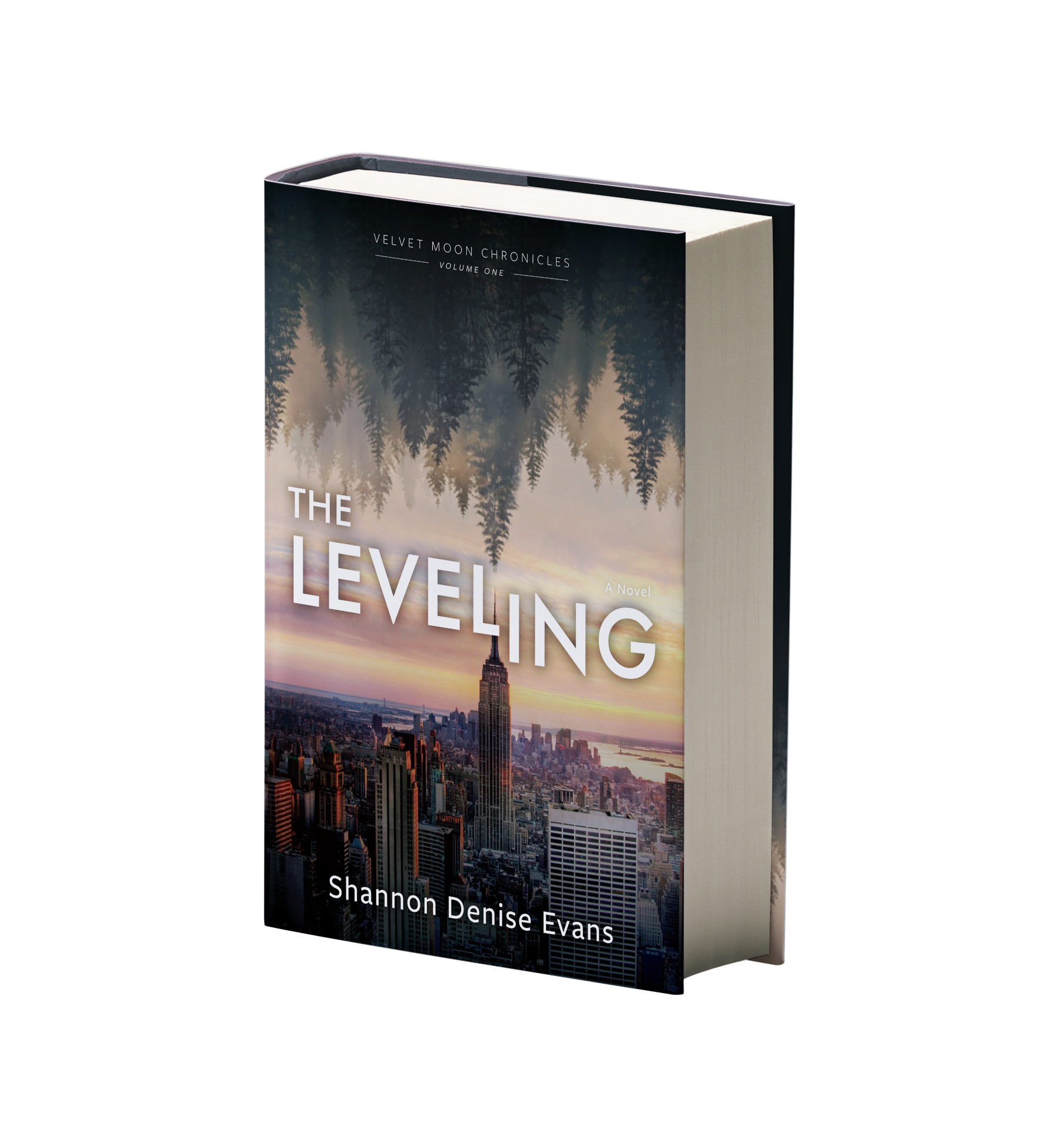 The Leveling — hardcover