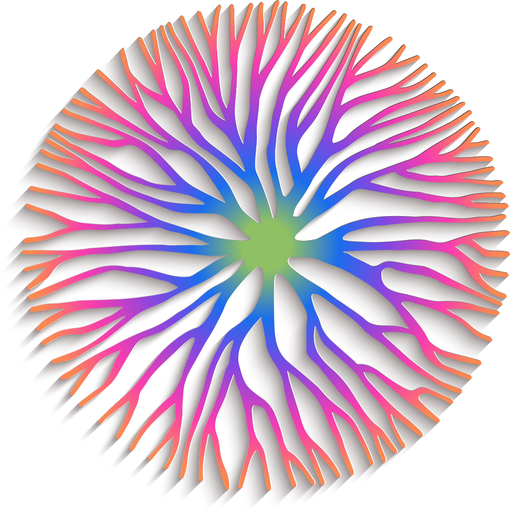 Shannon Denise Evans